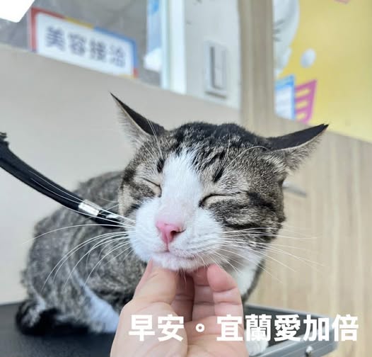 聖方濟老人長期照顧中心-募款專案